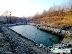 Bֲ(sh)(dng)һ"һƬG~""һݜܰ"ֲ(sh)(dng)ļ