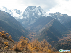 9·ݴBw9؃r4180Ԫ/λ 95-10l