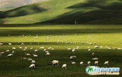 BԭBԭЩLຣǂԭ