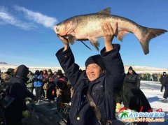 2015-2016젖ɭڶñѩOCĻι(ji)