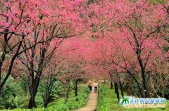 _(ti)pѹ_(ti)ѻʲôr(sh)__(ti)Щطѻ