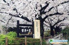 ywµKW(xu)܌W(xu)СϵĻc