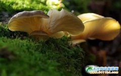 Ĵɽخa(chn)ҰĴɽҰôJ(rn)