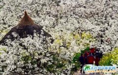 ĴVԪnϪ滨(ji)318_(ki)Ļ