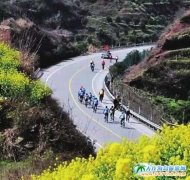 2016ǧuTδ(hu)49_(ki)Ļ