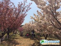 M(mn)@ɫP(gun)ס 혶ѻ@