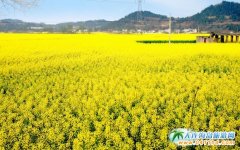 ǽ^(q)F(xin)ƬͲ˻ ռ600(jng)_ŽS