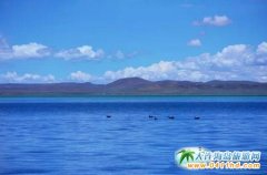 hѩ Ǽԭ ţ֮l(xing) ΄ٵ