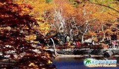 ＾L(zhng)ɽΡL(zhng)ɽ[ɫͯԒ