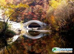 P(gun)TɽFُr Bһ {΃(yu)݃r