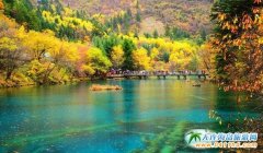 2017ĴկΕr(sh)g 2017ȥկס޹