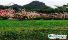 ι֡ ֡˷콭δŖ|ٲ6