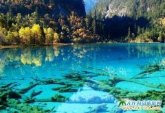 2017Ϧ(yng)tɶկϡӳ㡢ߡSϪüɽ