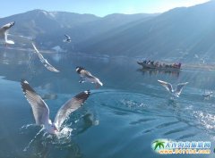 Јĸ{(dio)¼ܲa(chn)Ʒ