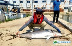 ˮ,βٴ!ӍuHС(zhn)̓!