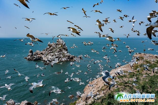 L(zhng)ɽȺu(gu)Ҽ(j)ζȼم^(q)