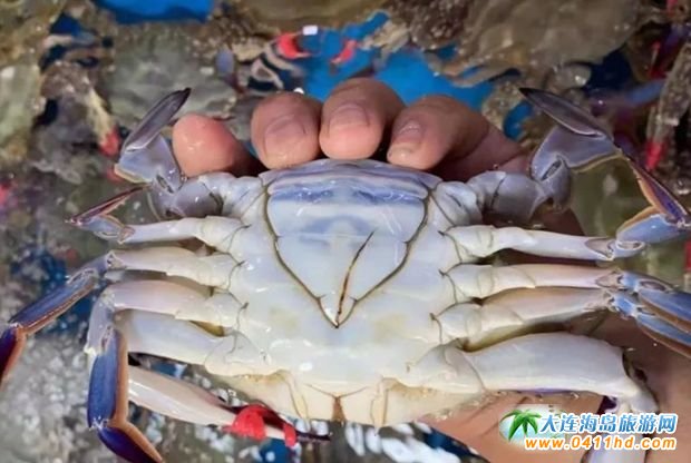 L(zhng)ɽȺu(gu)Ҽ(j)ζȼم^(q)